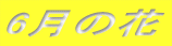 6���̉�